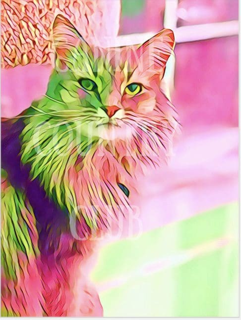 A cat is painted in neon colors and looks like it's looking at the camera.