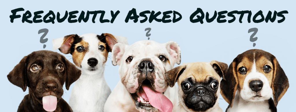A group of dogs with words that say, " mostly asked questions ?"