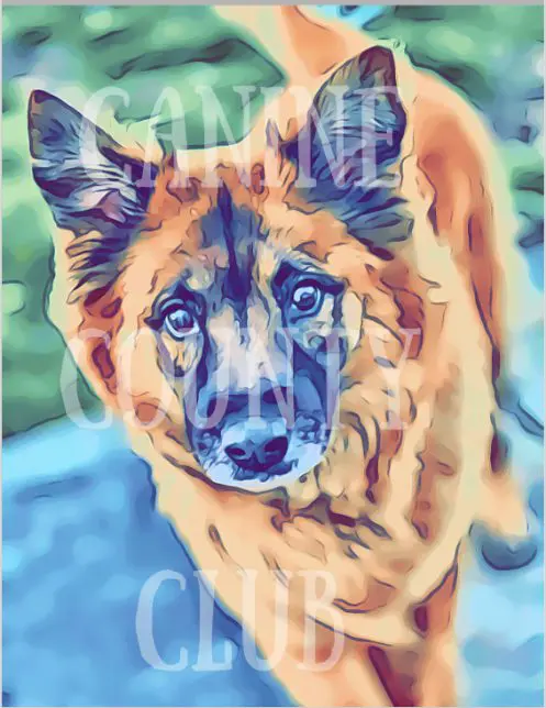 A painting of a dog with blue eyes