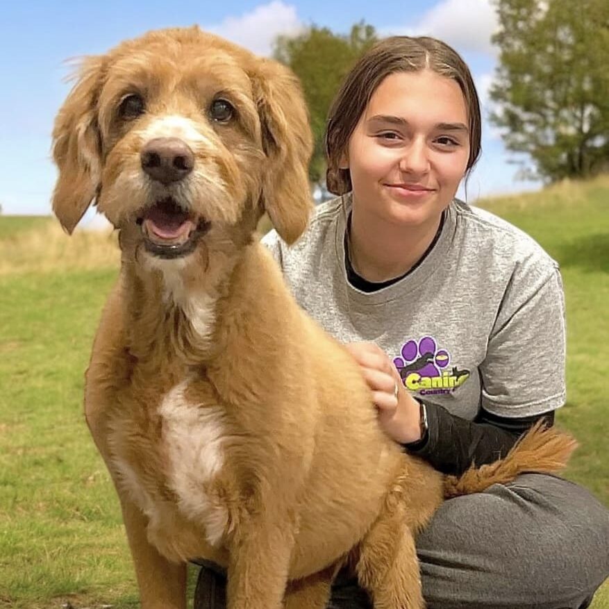 Taylor Karter </br>
Kennel Attendant